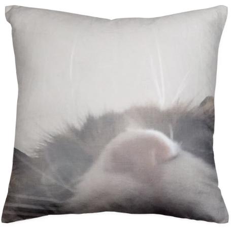 Cat Peek Pillow