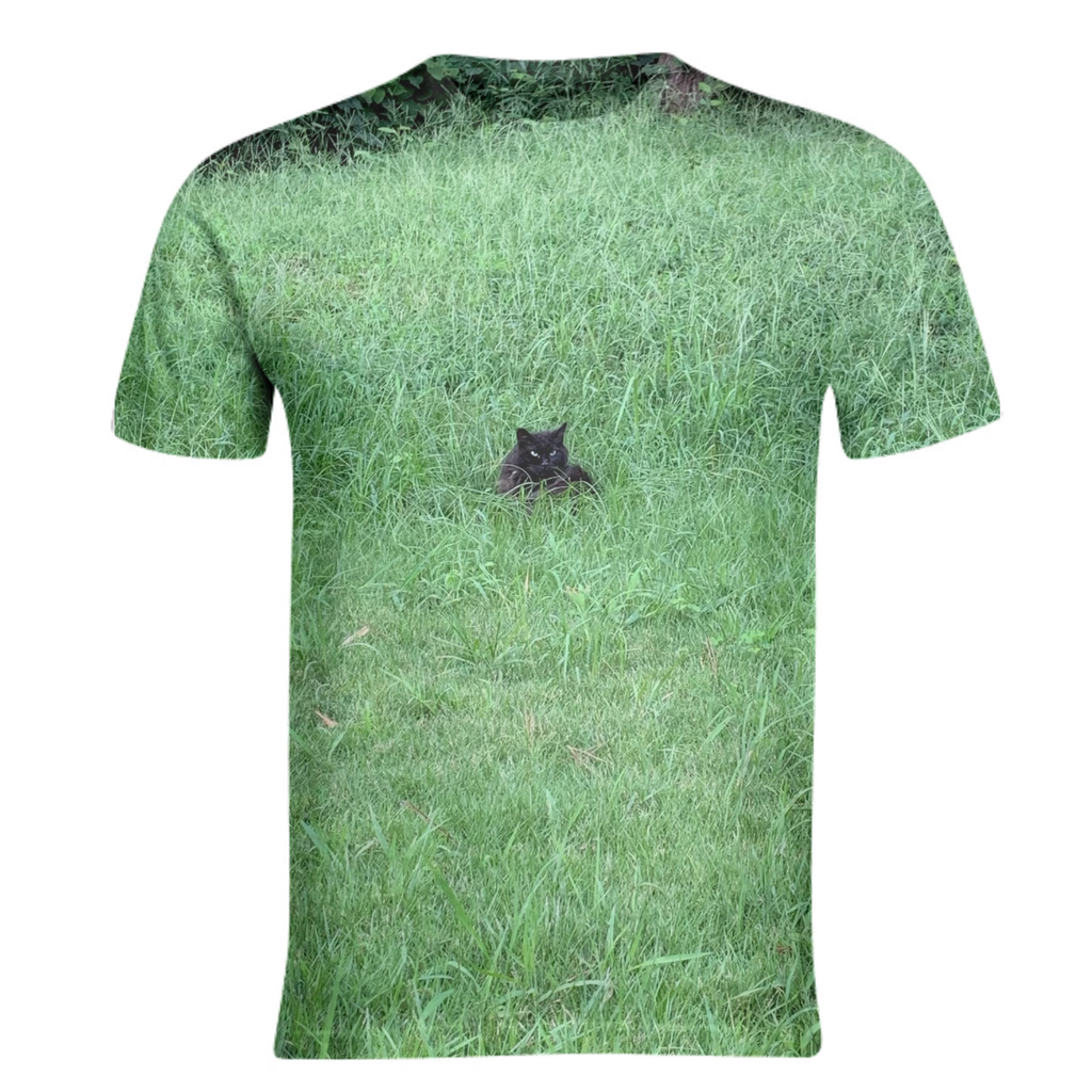 kitty cat in the grass