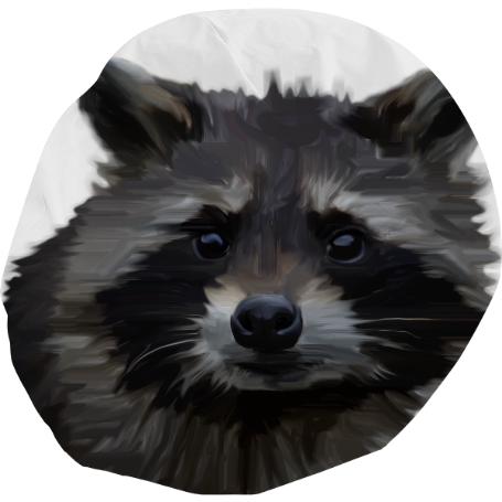 Raccoon Bean Bag