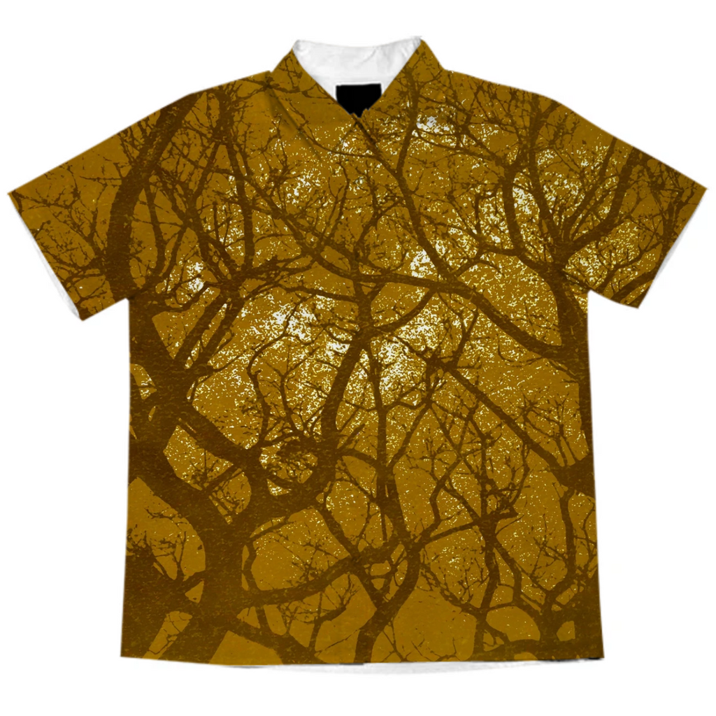 Forest Landscape Illustration