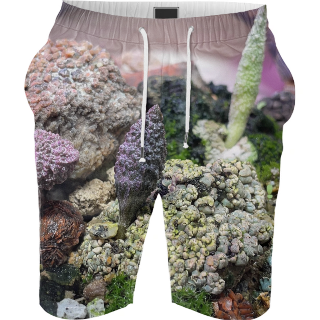 Adro shorts