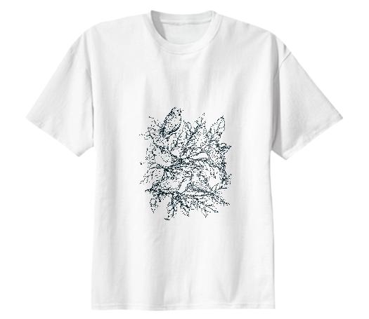 Autumn birds Bird illustration and Pattern