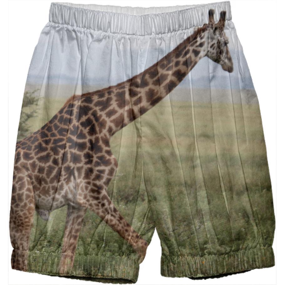 Safari Adventure Giraffe Pants