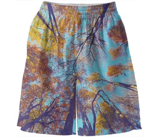 Blue Autumn Basketball Shorts