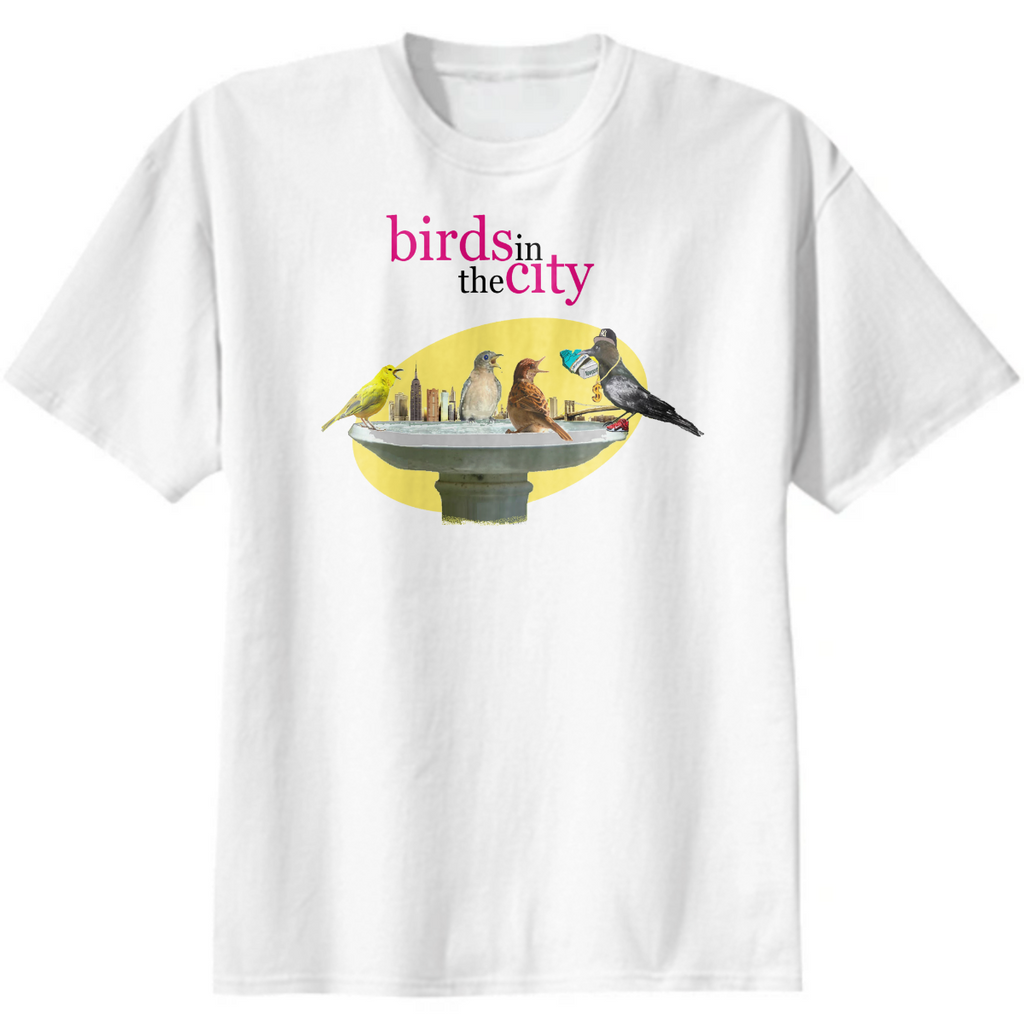 birds in the city parody logo