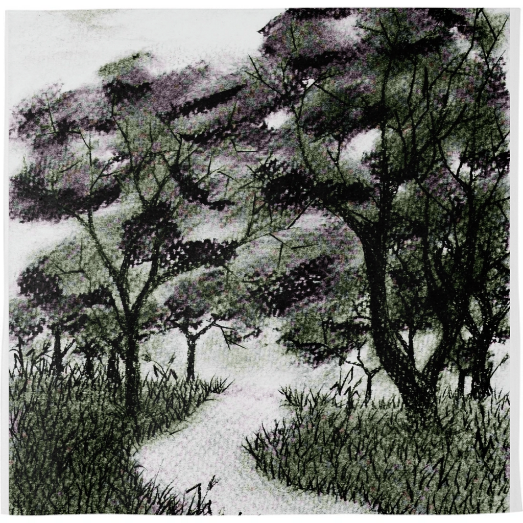 River in the forest