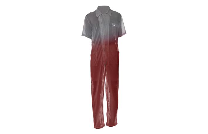 Mesh Jumpsuit