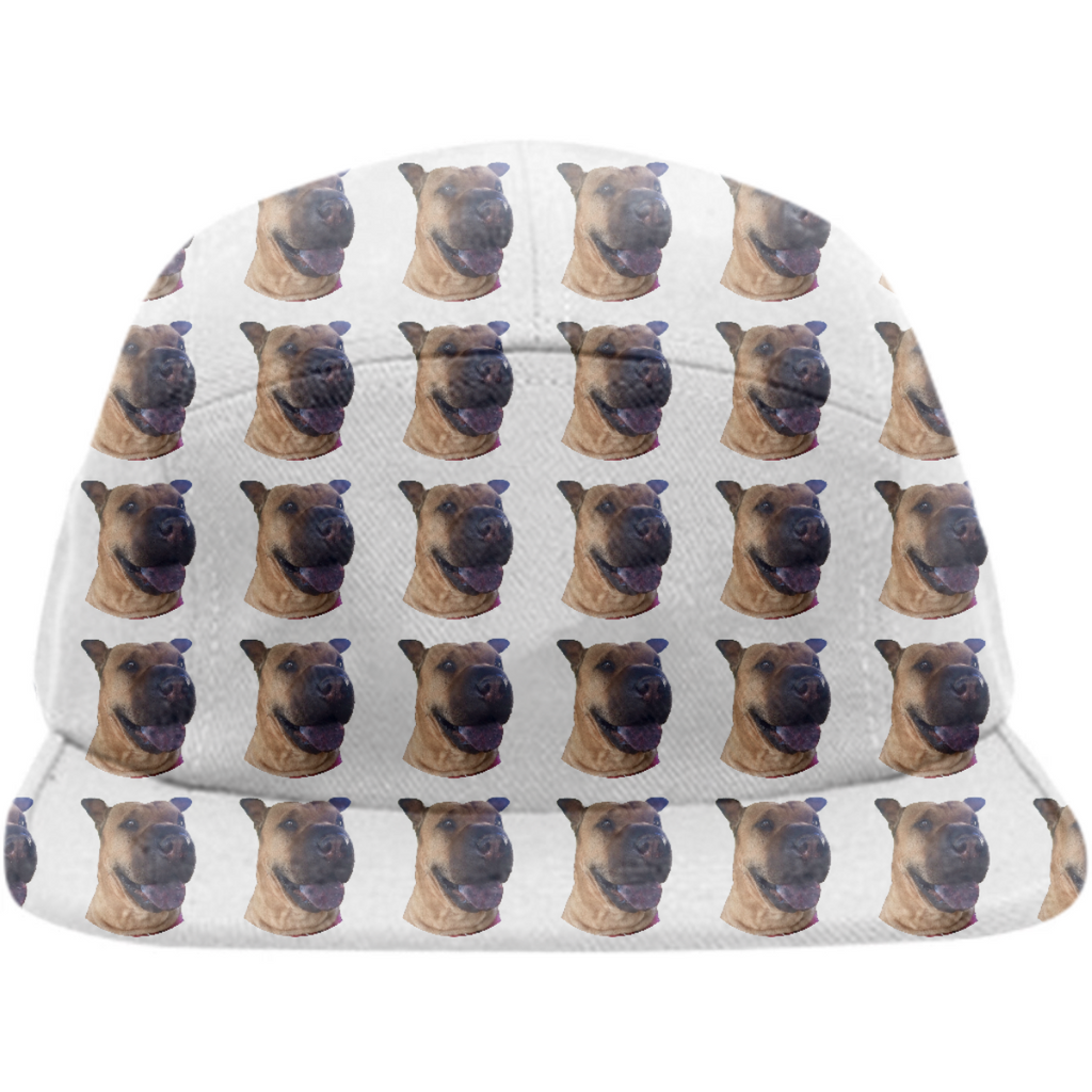 dufu hat 3