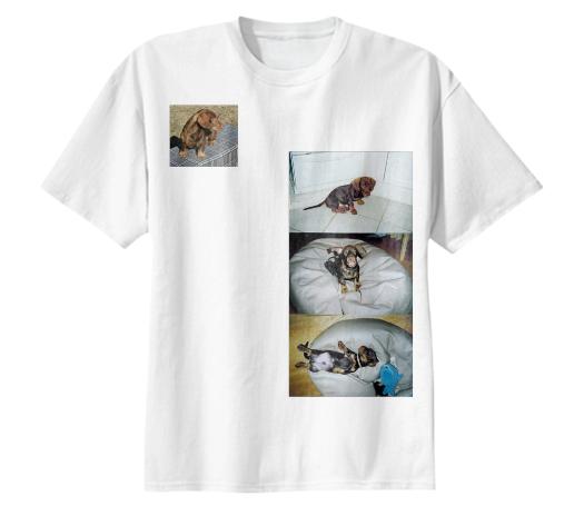 Arvi Pup Cotton T Shirt