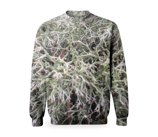 Lichen Camo