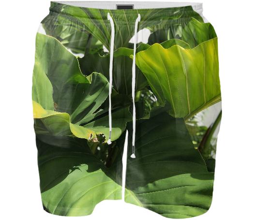 Swim Short