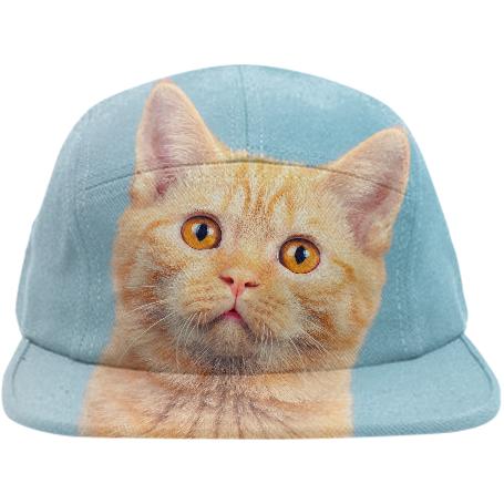 Kitty Kat Hat