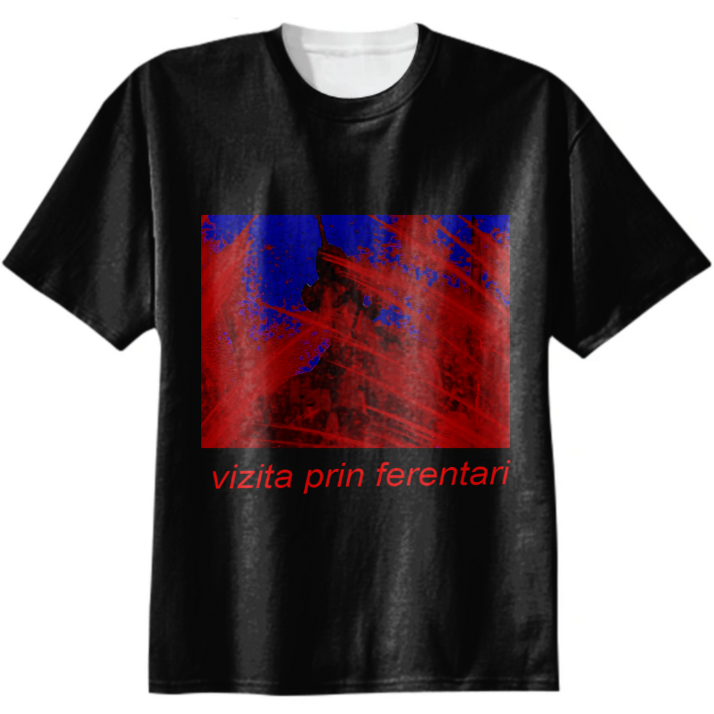 vizita prin ferentari