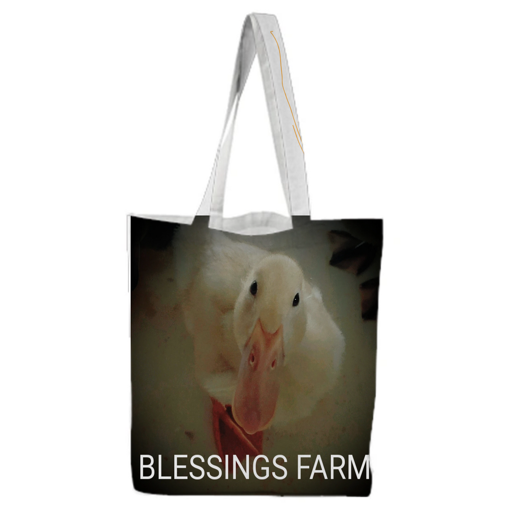 Blessings Farm