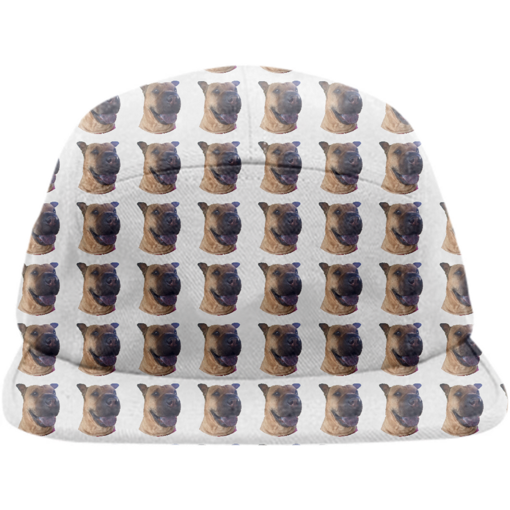 Dufu hat 2