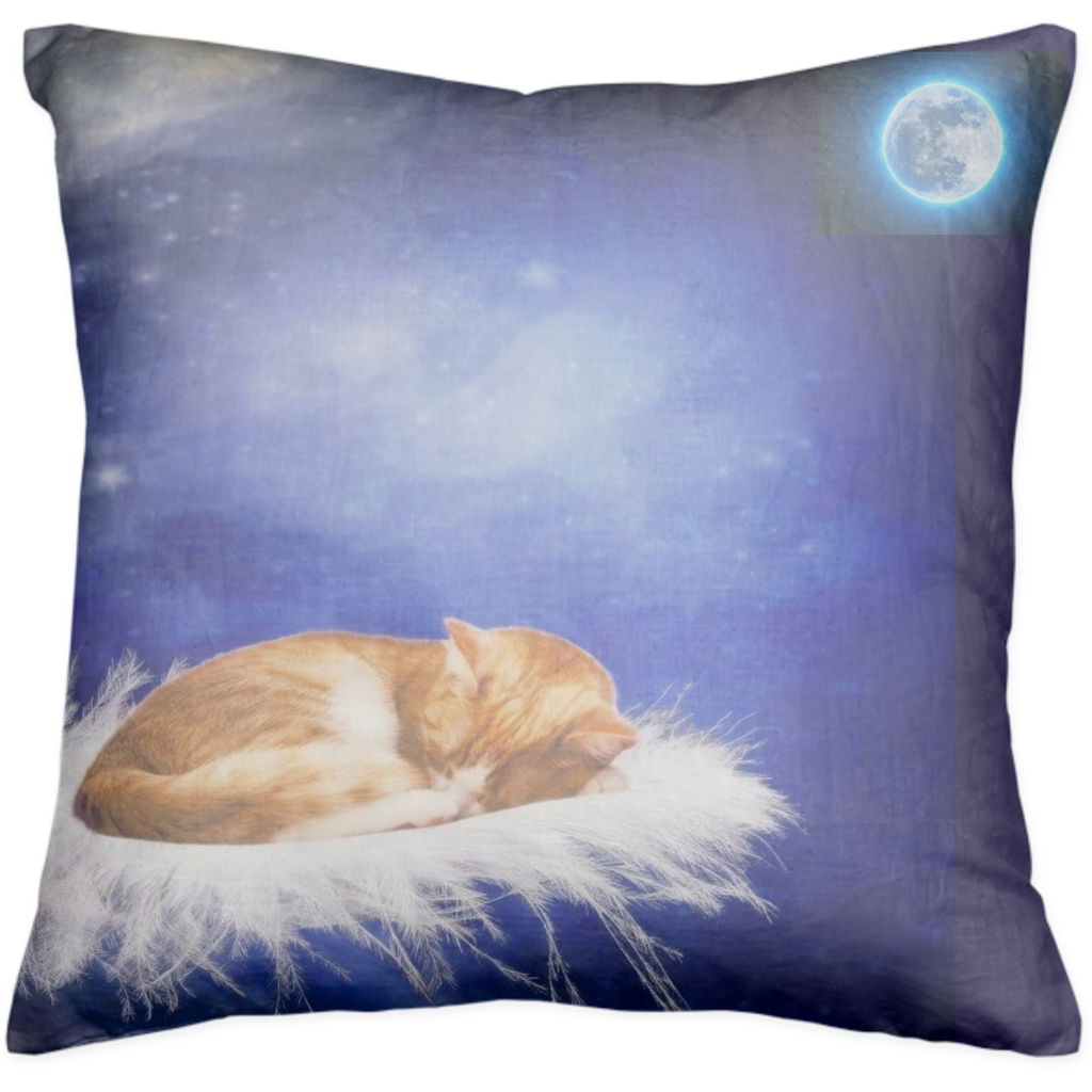 Sleeping Cat Pillow