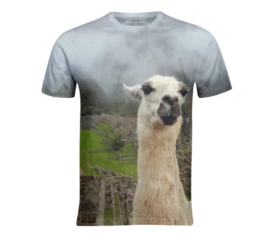 Llama