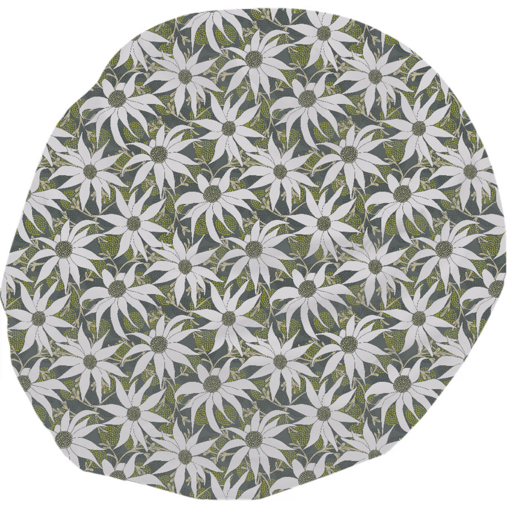 FLANNEL FLOWERS