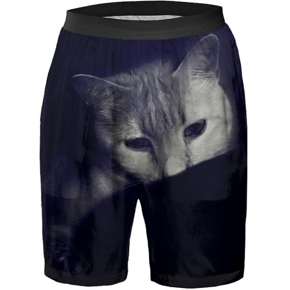Maurice the Cat Boxer Shorts