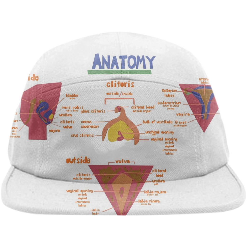 Anatomy: Pussy Hat