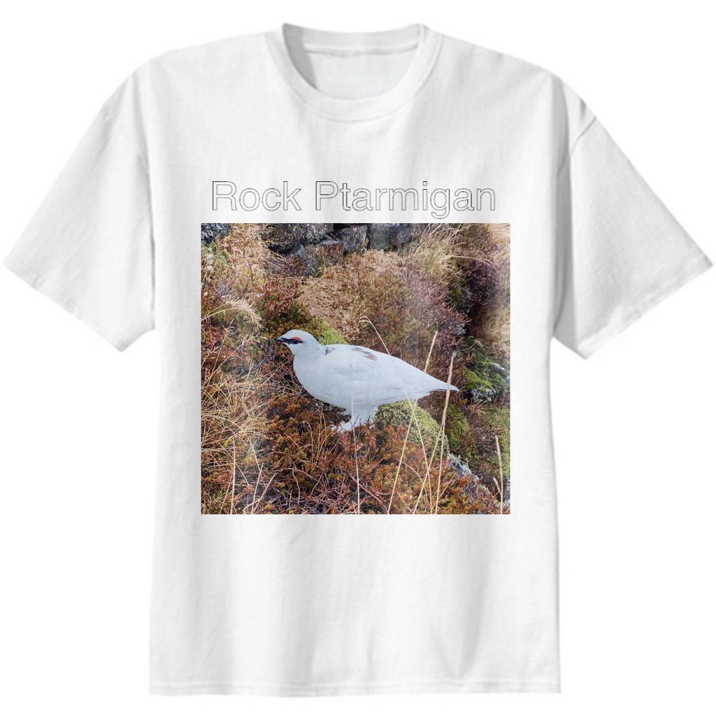 Rock Ptarmigan