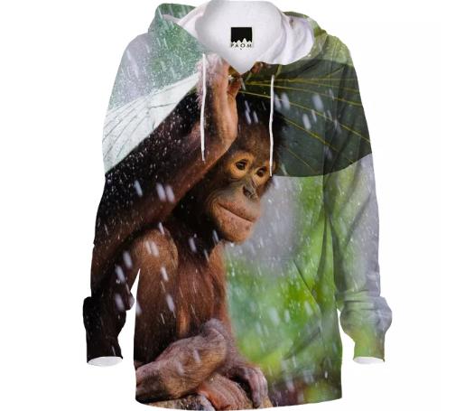 monkeyrains