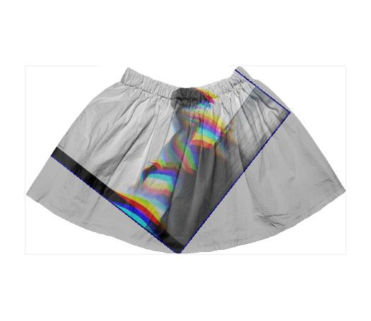POLAROID 22 SKIRT