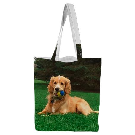 teddy tote