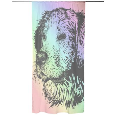 Rainbow Dog Curtain
