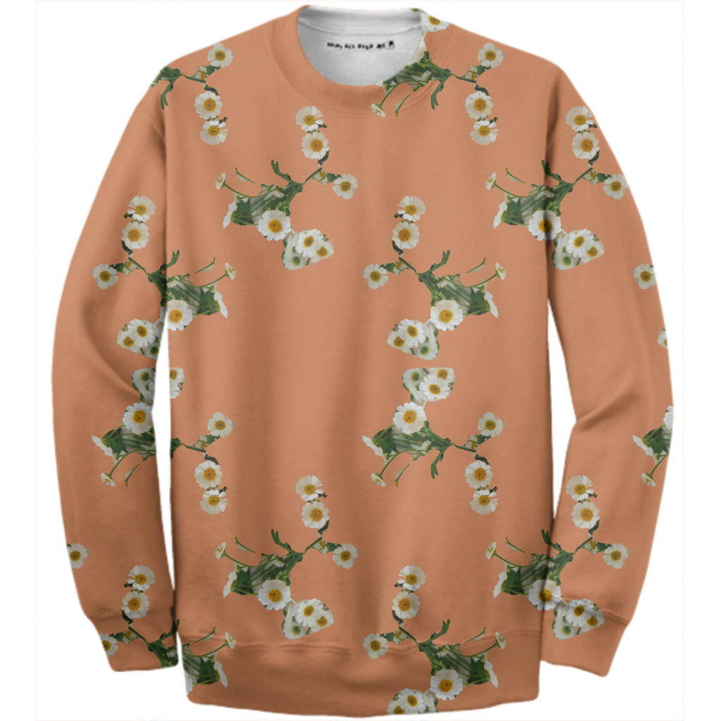 Fall Daisies