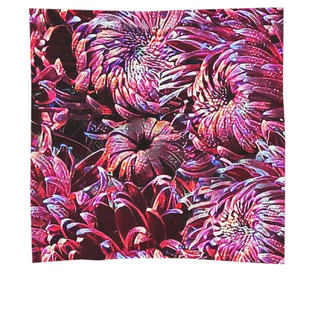 flowers large petals, multicolored purple, chrysanthemums, iris,