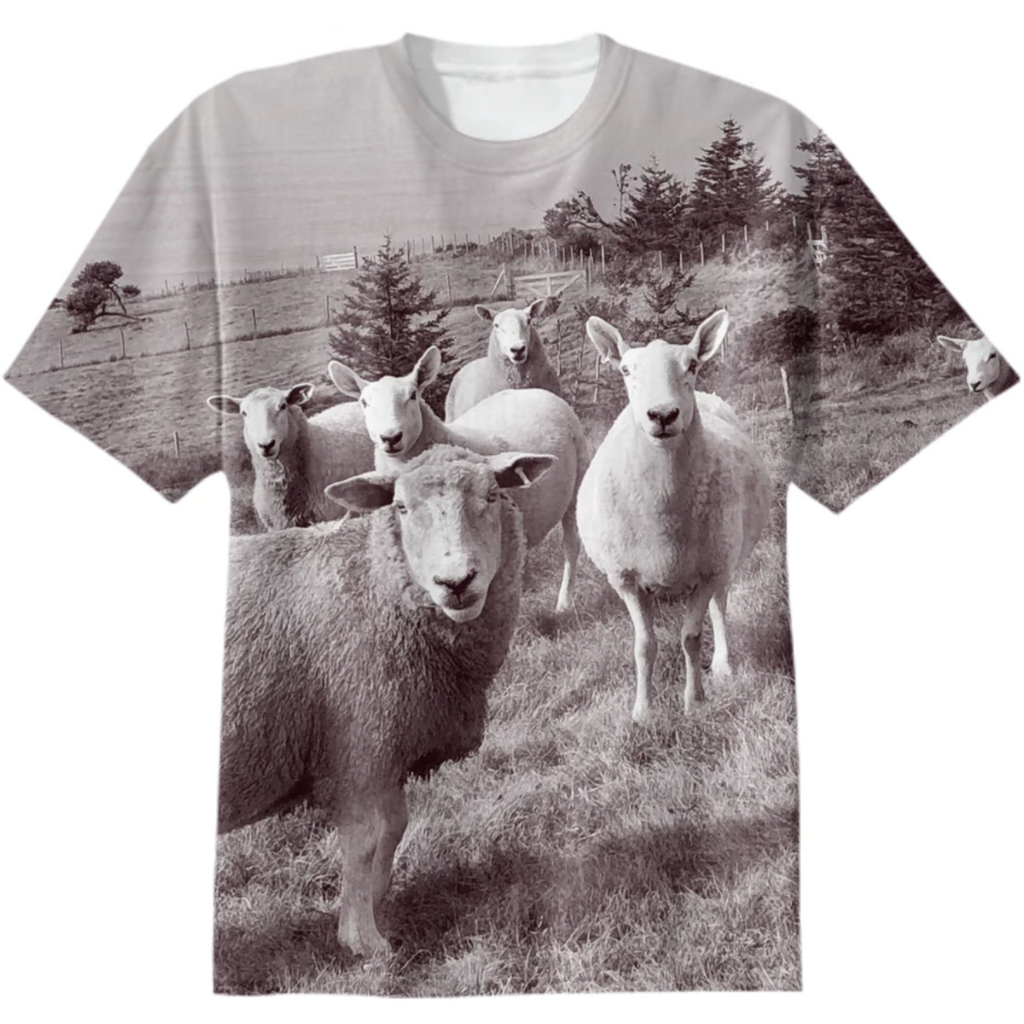 big sheep