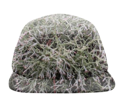 Lichen Camo Hat