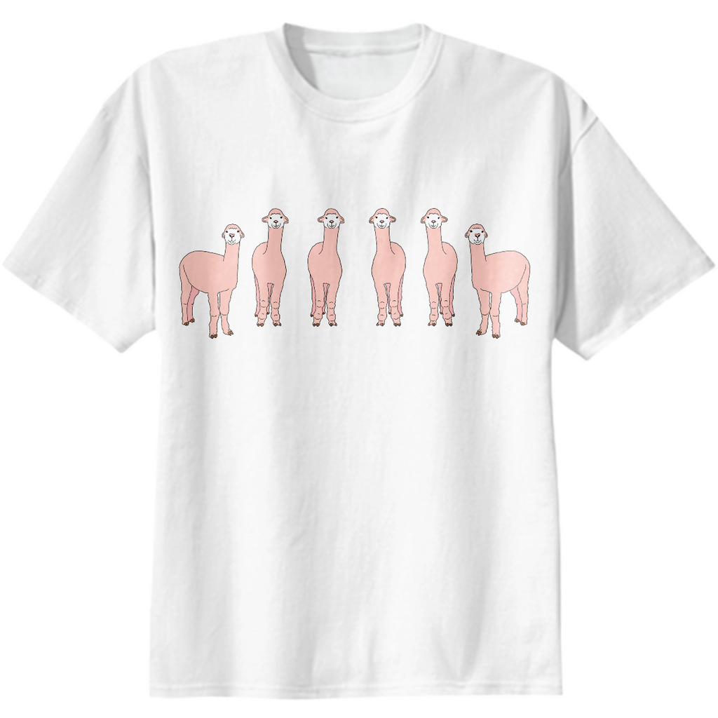 Alpaca Photo Shooting