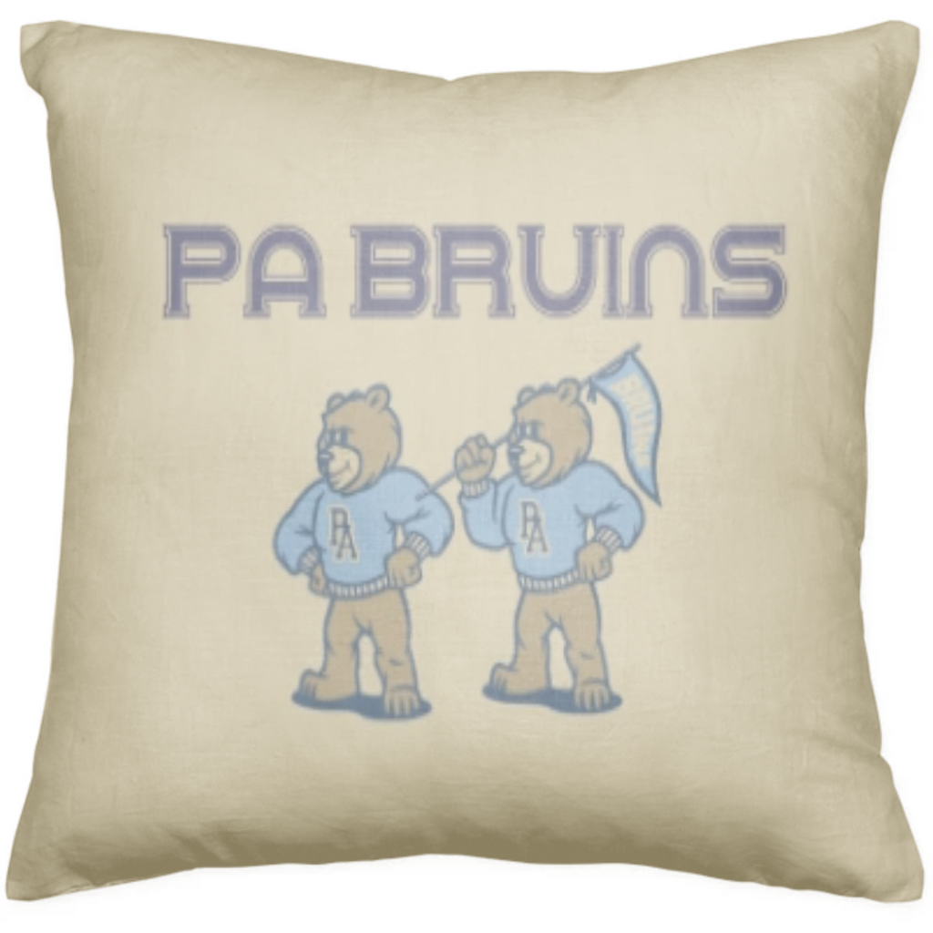 Vintage PA Bruins Pillow