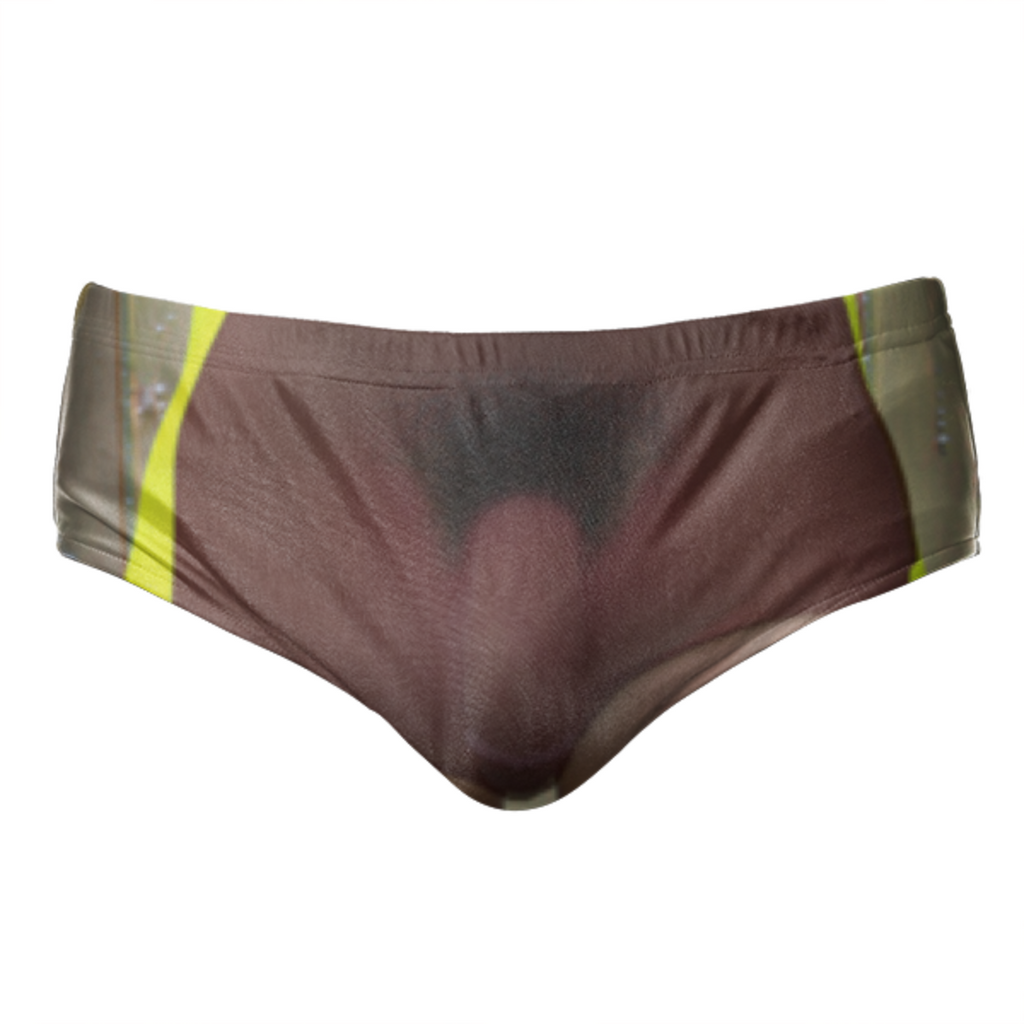Transparent trunks