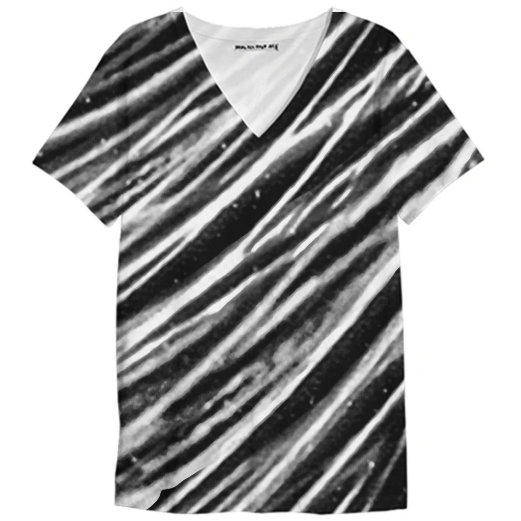 Black and White Modern Zebra Print