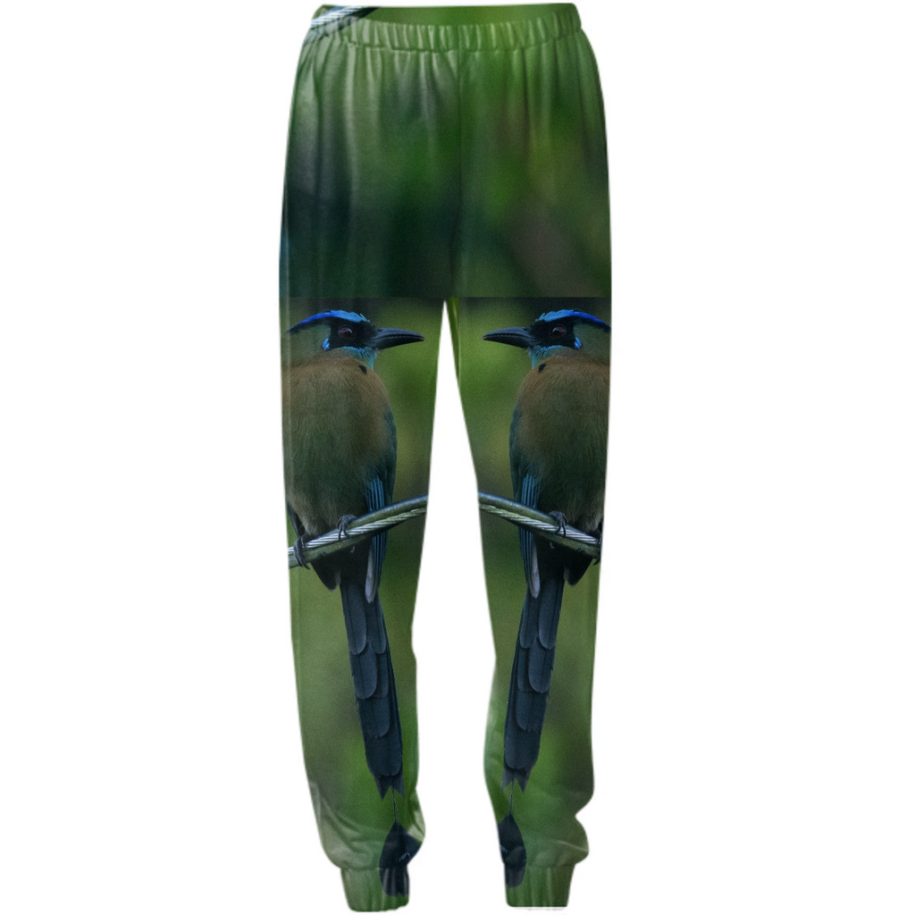 motmot pants
