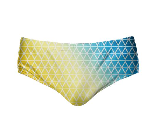 SWIM BRIEF 2018 0017