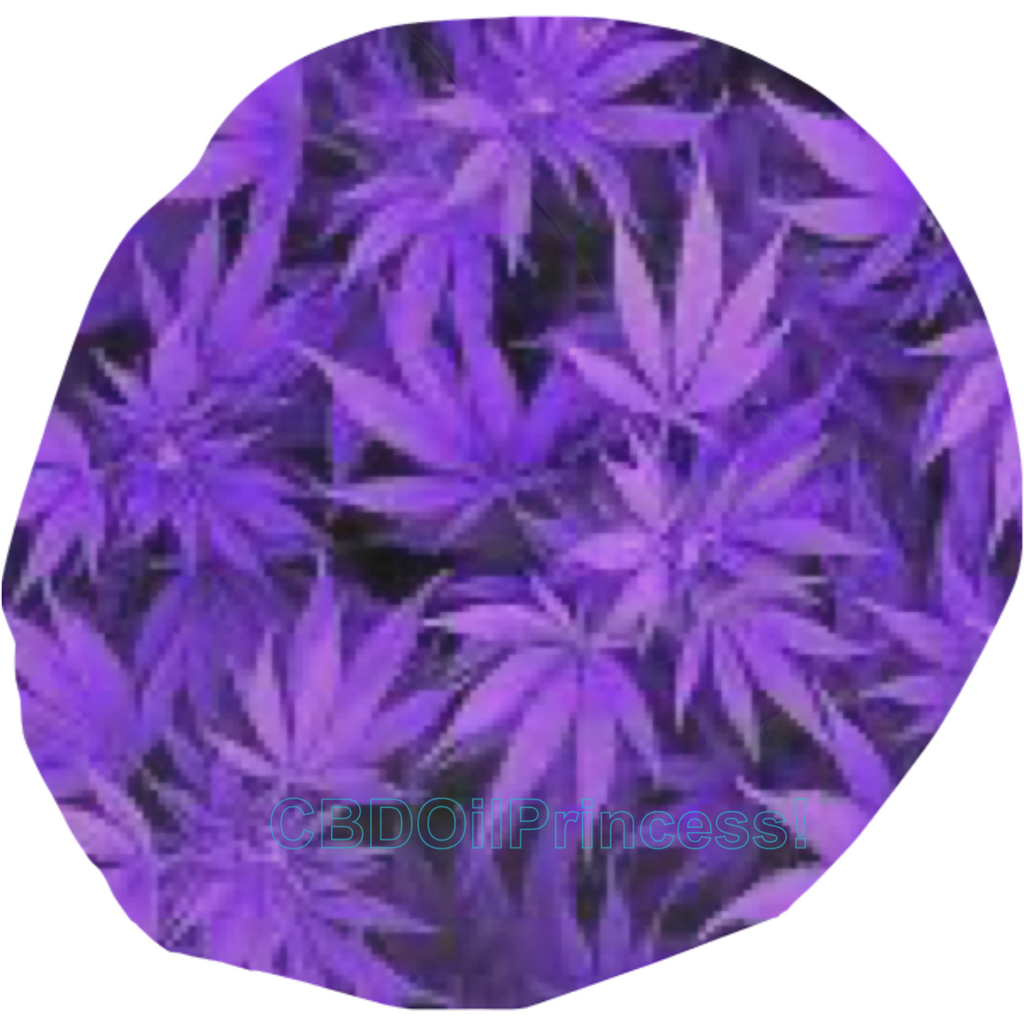 Purple Marijuana Leaves BeanBag!