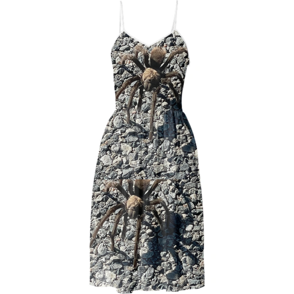 Desert Spider dress