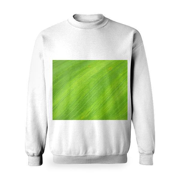Green Textile Basic Sweatshirt