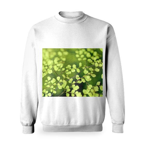 Nature Spring Leaves Plants Basic Sweatshirt