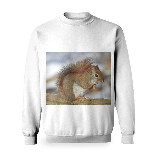 Small Squirrel Standing On Brown Wood Basic Sweatshirt