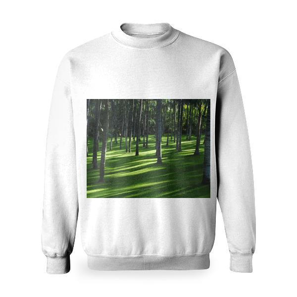 White And Brown Trees On Forest During Daytime Basic Sweatshirt