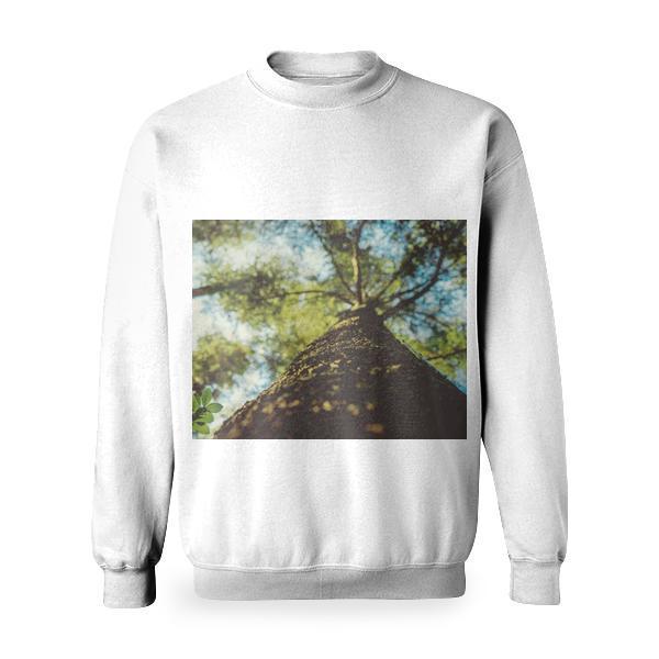 Low Angle Photography Of Leaf Tree Basic Sweatshirt