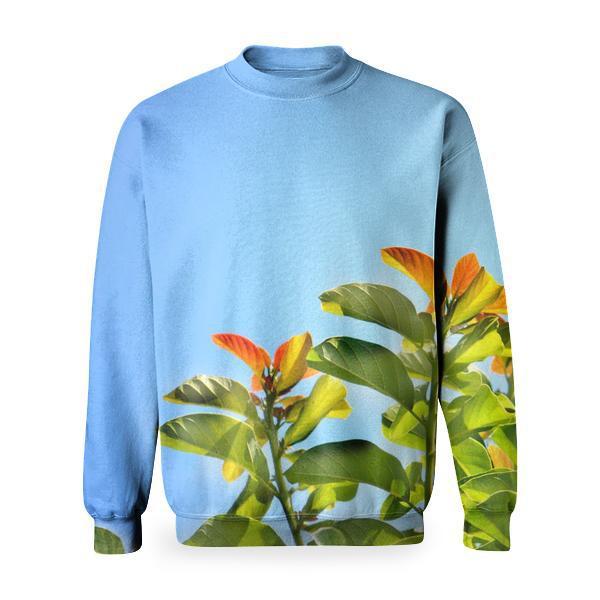 Green Leafed Plant During Daytime Basic Sweatshirt