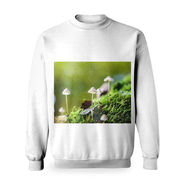 CloseUp Of Mushroom Basic Sweatshirt