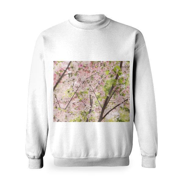 Pink And White Cherry Blossoms Basic Sweatshirt