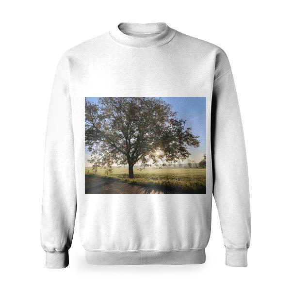 Wood Light Road Dawn Basic Sweatshirt